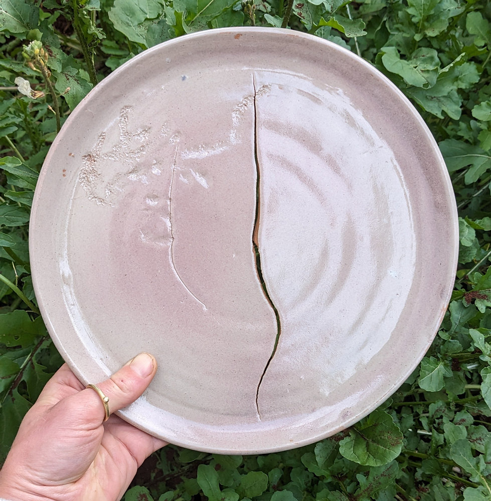 Beyond the Plate: Food's Impact on Climate Change & Sustainability